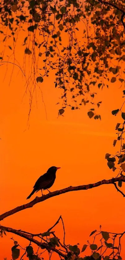 Silhouette of a bird on a branch against an orange sunset sky.