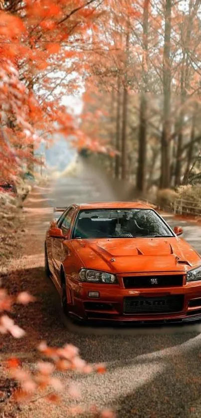 Orange sports car on an autumn forest road.