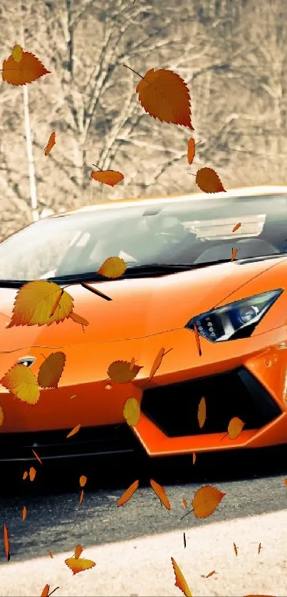 Orange sports car with autumn leaves background.