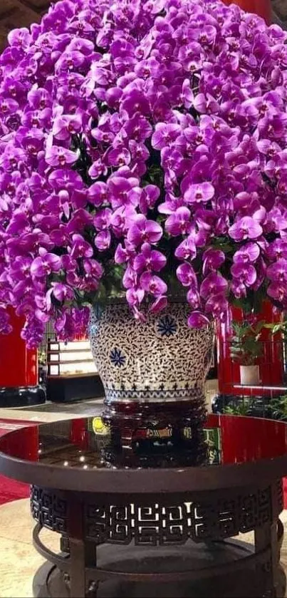 Vibrant purple orchids in an elegant indoor setting.