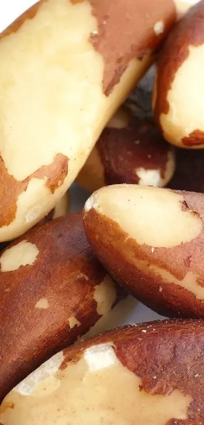 Close-up view of organic Brazil nuts, showcasing natural texture and color.