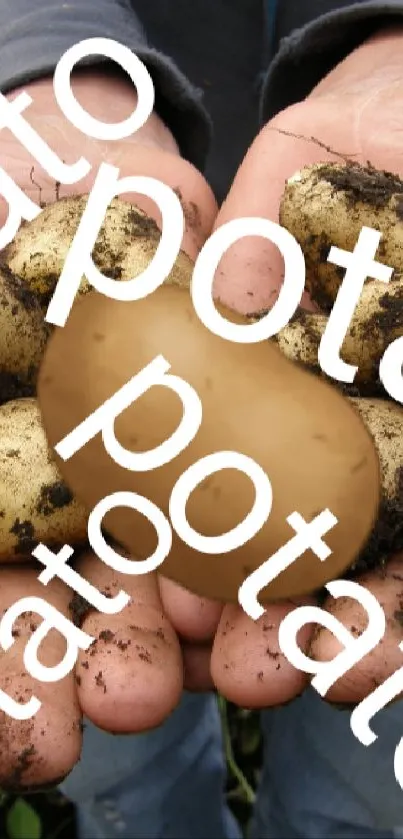 Hands holding fresh potatoes with text overlaying the image.