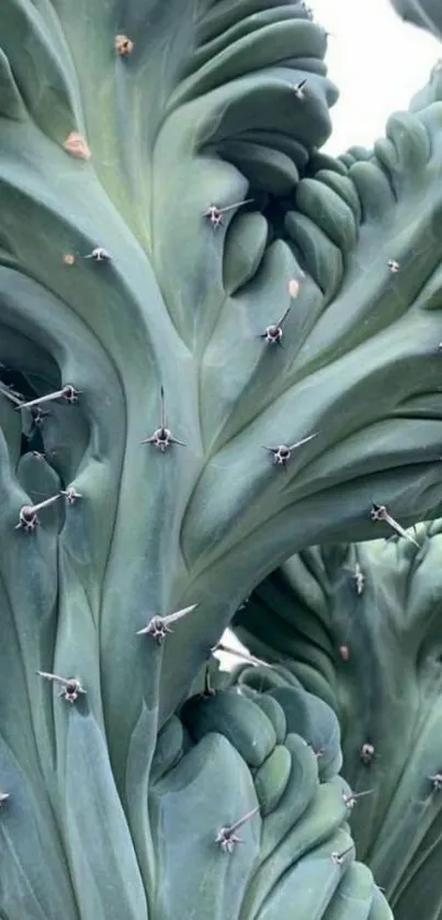 Close-up of textured green plant leaves for mobile wallpaper.