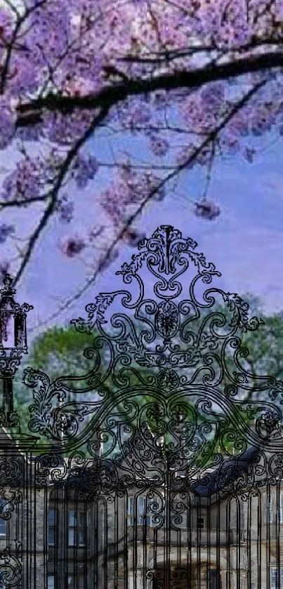 Ornate wrought iron gate with cherry blossoms above against a purple sky.