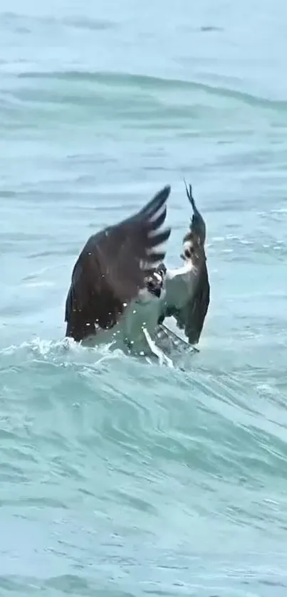 Osprey emerging from ocean waves, wings spread wide.