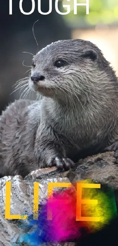 Otter on a log with colorful text overlayed.