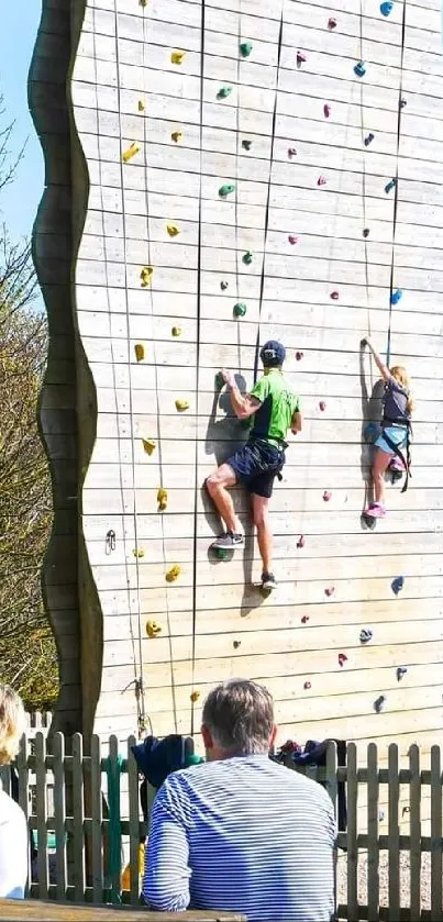 Outdoor climbing wall with climbers in nature.