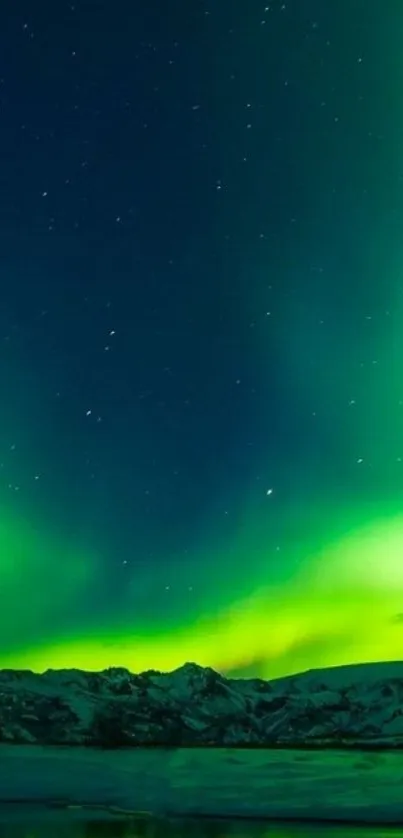 Outdoor Light Night Live Wallpaper