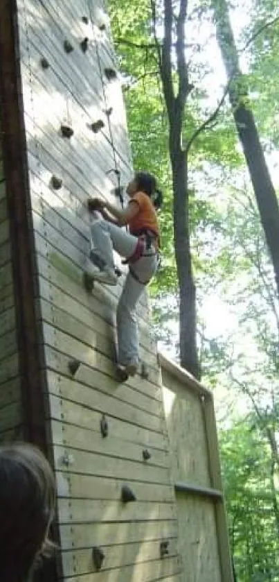 A person climbing a wooden wall in a lush green forest.