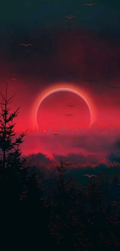 Outdoor Sky Sunset Live Wallpaper