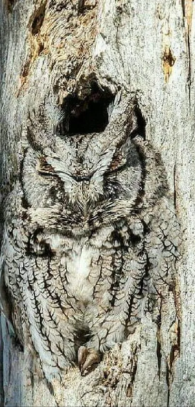 Owl beautifully camouflaged in tree bark, showcasing nature's intricate design.