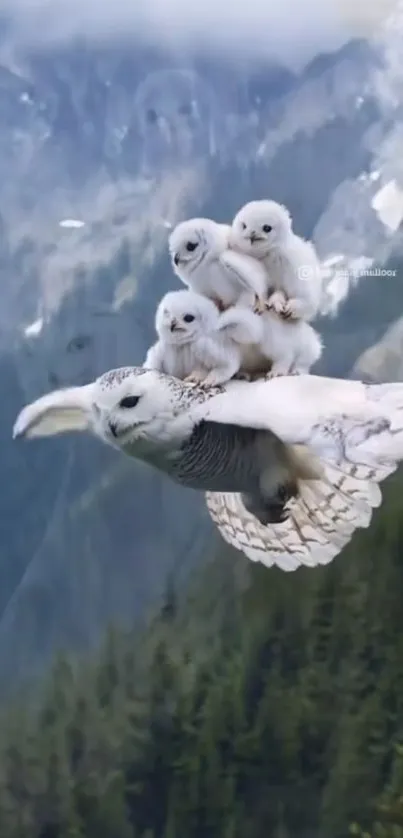 Owl carrying owlets in tranquil mountain flight.