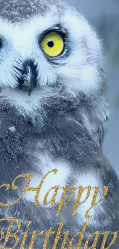 Owl with yellow eyes and 'Happy Birthday' text in a frosty setting.