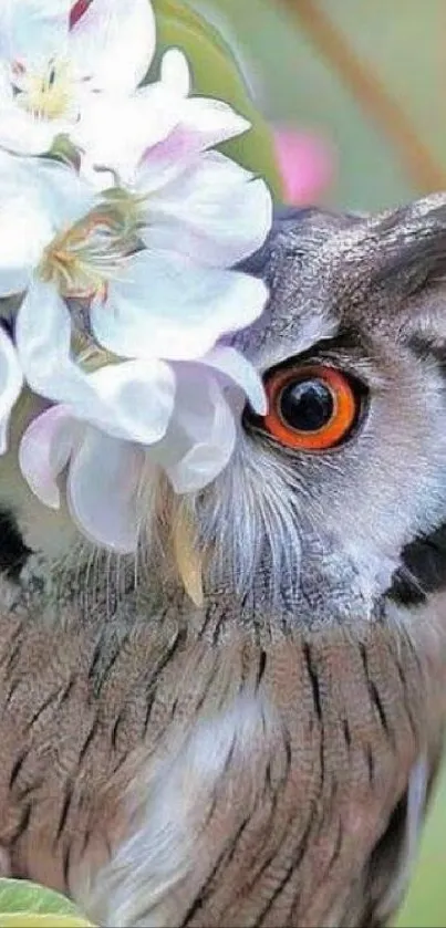 Owl peeking from behind white blossoms, a serene wildlife image.