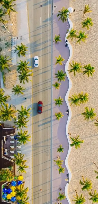 Aerial view of coastal road with palm trees.