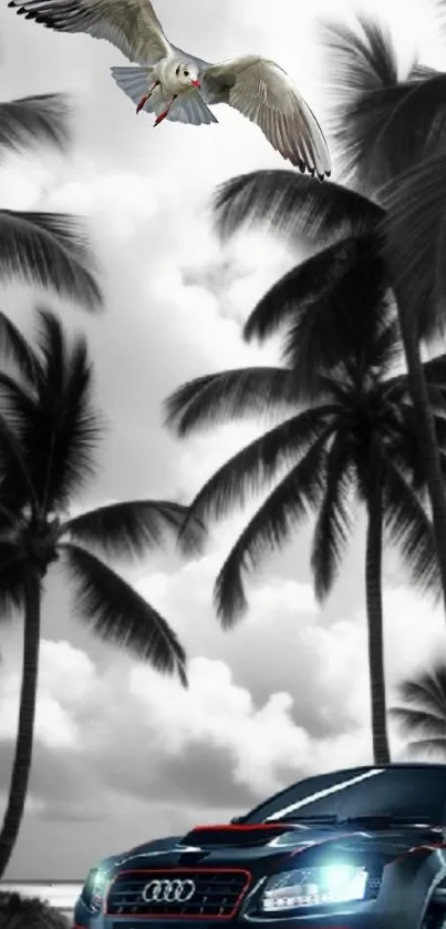 Luxury car with seagull by palm trees in black and white.