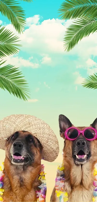 Two dogs in beach attire with palm trees and a vibrant sky background.