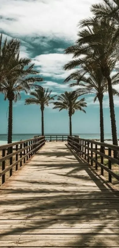 Boardwalk with palm trees leading to the beach under a blue sky.