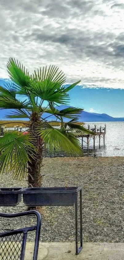 Palm tree and beach view under a wide blue sky.