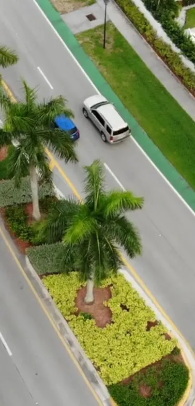 Aerial view of palm-lined street in urban setting.