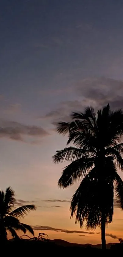 Silhouetted palm trees against a dusky sunset sky.