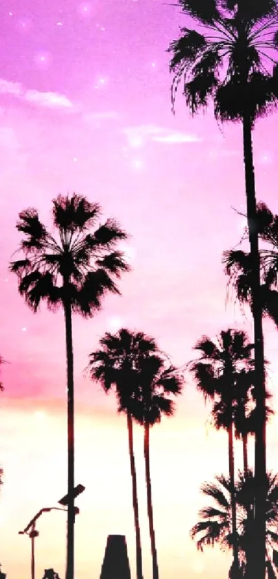 Palm trees silhouetted against a pink sunset sky.