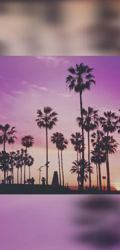 Silhouette of palm trees at sunset with a purple sky.