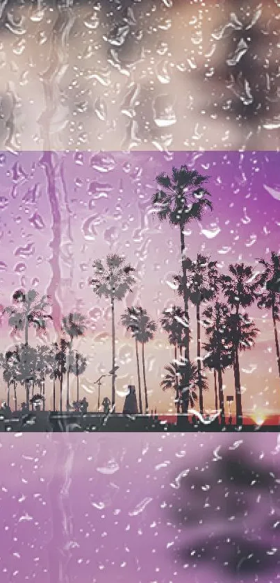 Mobile wallpaper with palm trees at sunset through raindrops.