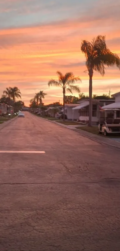 Palm trees line a tranquil street at sunset.