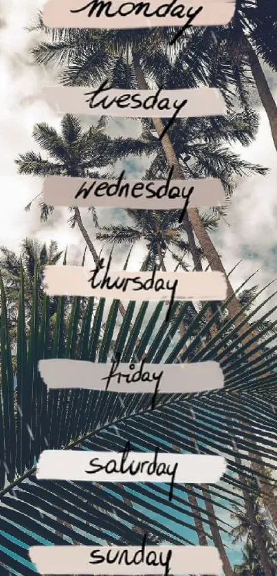 Wallpaper with palm trees and days of the week in a tropical setting.