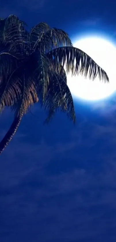 Palm tree silhouetted against a bright moon in a deep blue night sky.