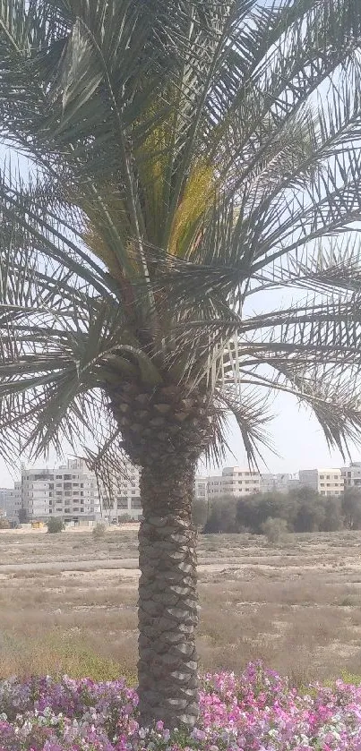 Palm tree in urban landscape with flowers