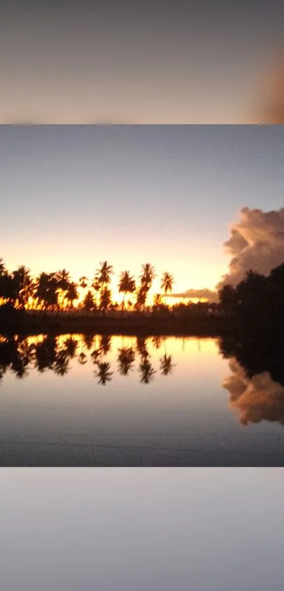 Sunset with palm trees reflecting on tranquil lake.