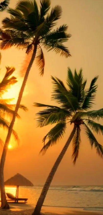Sunset over a tropical beach with palm trees