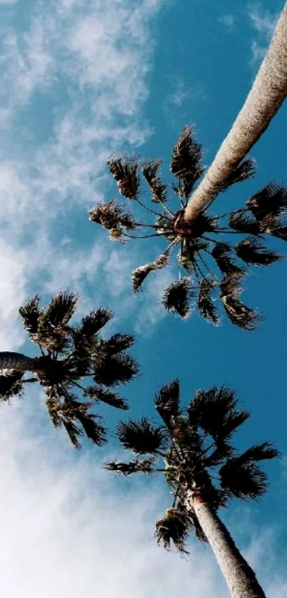 Looking up at palm trees against a bright blue sky with scattered clouds.