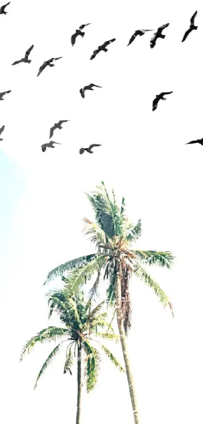 Wallpaper with palm trees and flying birds against a sky blue background.