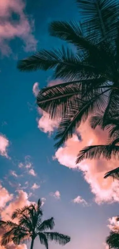 Palm trees silhouetted against a vibrant pink and blue sunset sky.