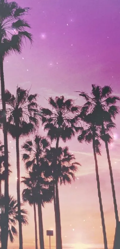 Silhouetted palm trees against a vibrant sunset sky with purple and pink hues.