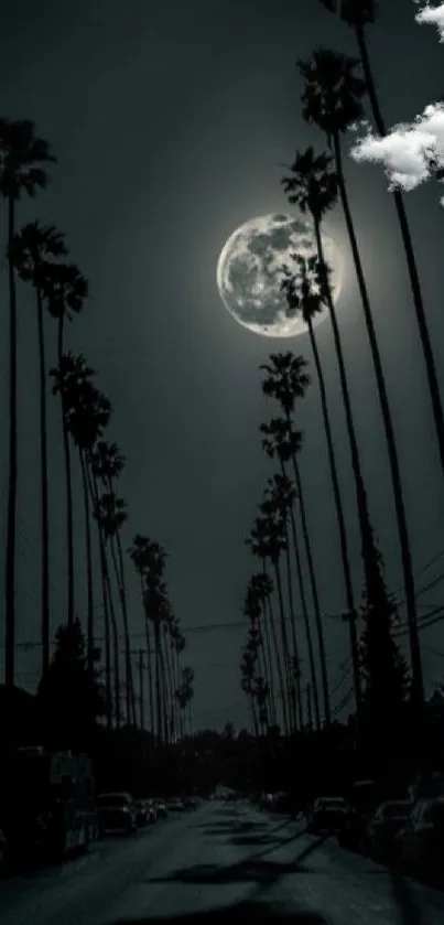 Palm trees silhouetted against a full moon.