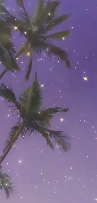 Palm trees silhouetted against a starry purple sky.