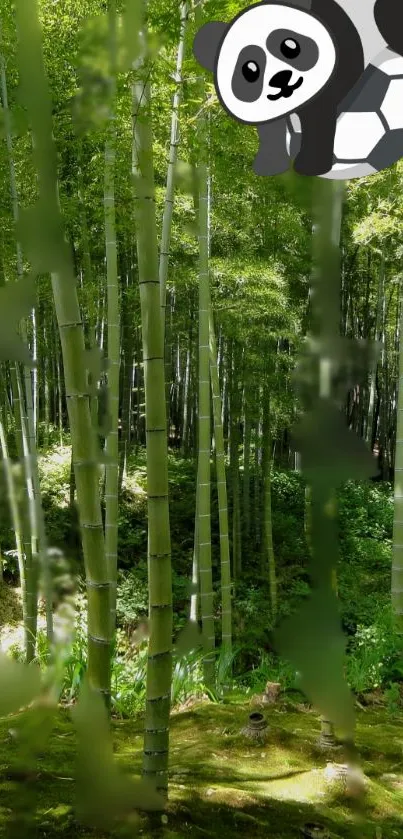 Panda hanging on bamboo in lush green forest wallpaper.