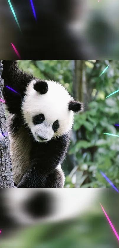 Cute panda climbing a tree with colorful streaks and green background.