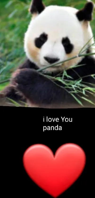 Cute panda with a red heart mobile wallpaper.