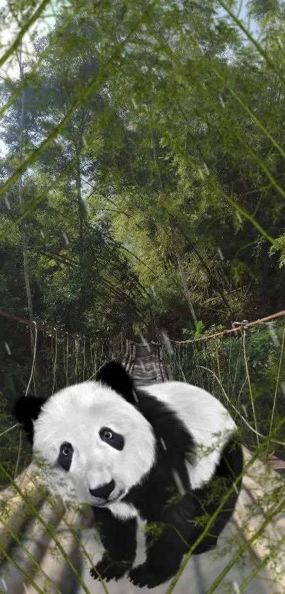 Panda on a lush forest bridge with green foliage.