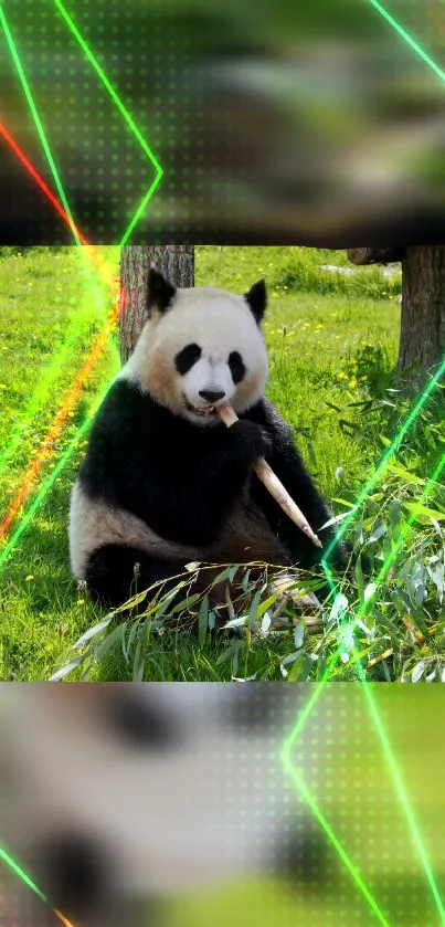 Panda munching bamboo amidst green laser beams.