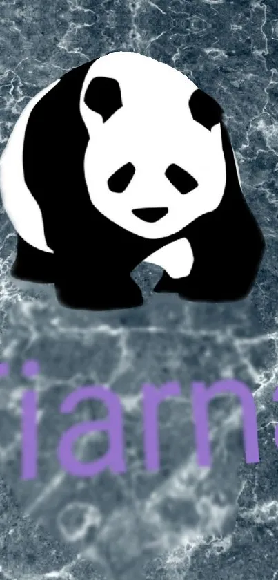 Panda on marbled blue background with purple text.