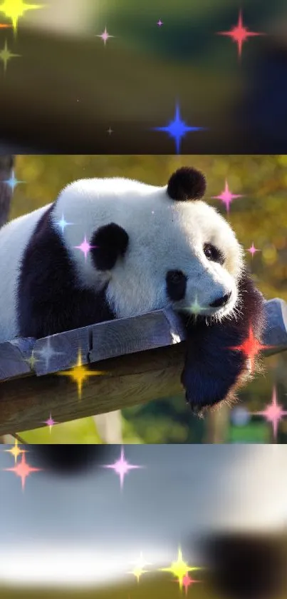 Cute panda on a branch with colorful sparkling lights in nature.