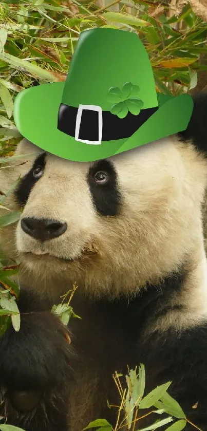 Panda wearing a green hat surrounded by bamboo shoots.