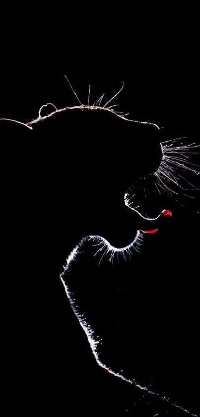 Silhouette of a panther on a dark background with red highlight.