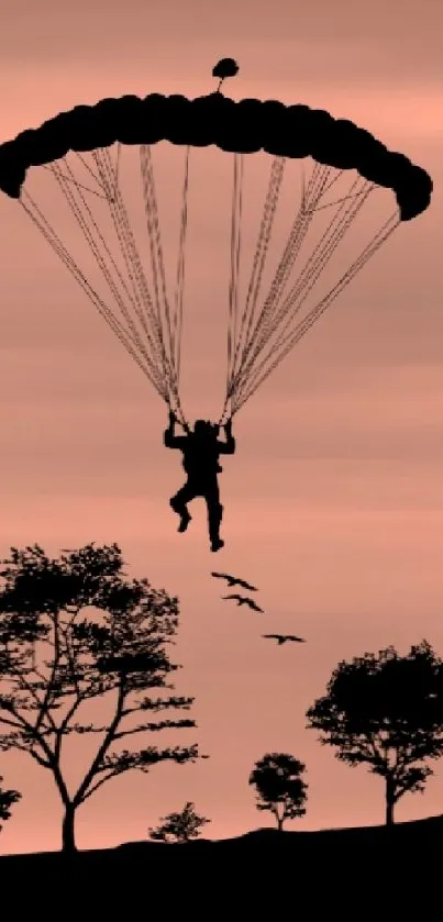 Parachutist silhouette descending at sunset with trees and birds in the foreground.